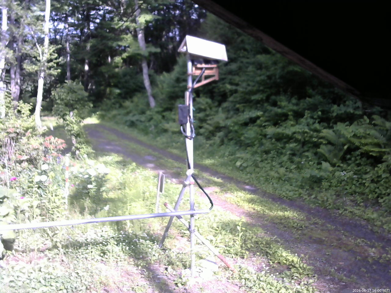 長野県菅平高原 ゆたか山荘 南側 2026/06/17 16:00