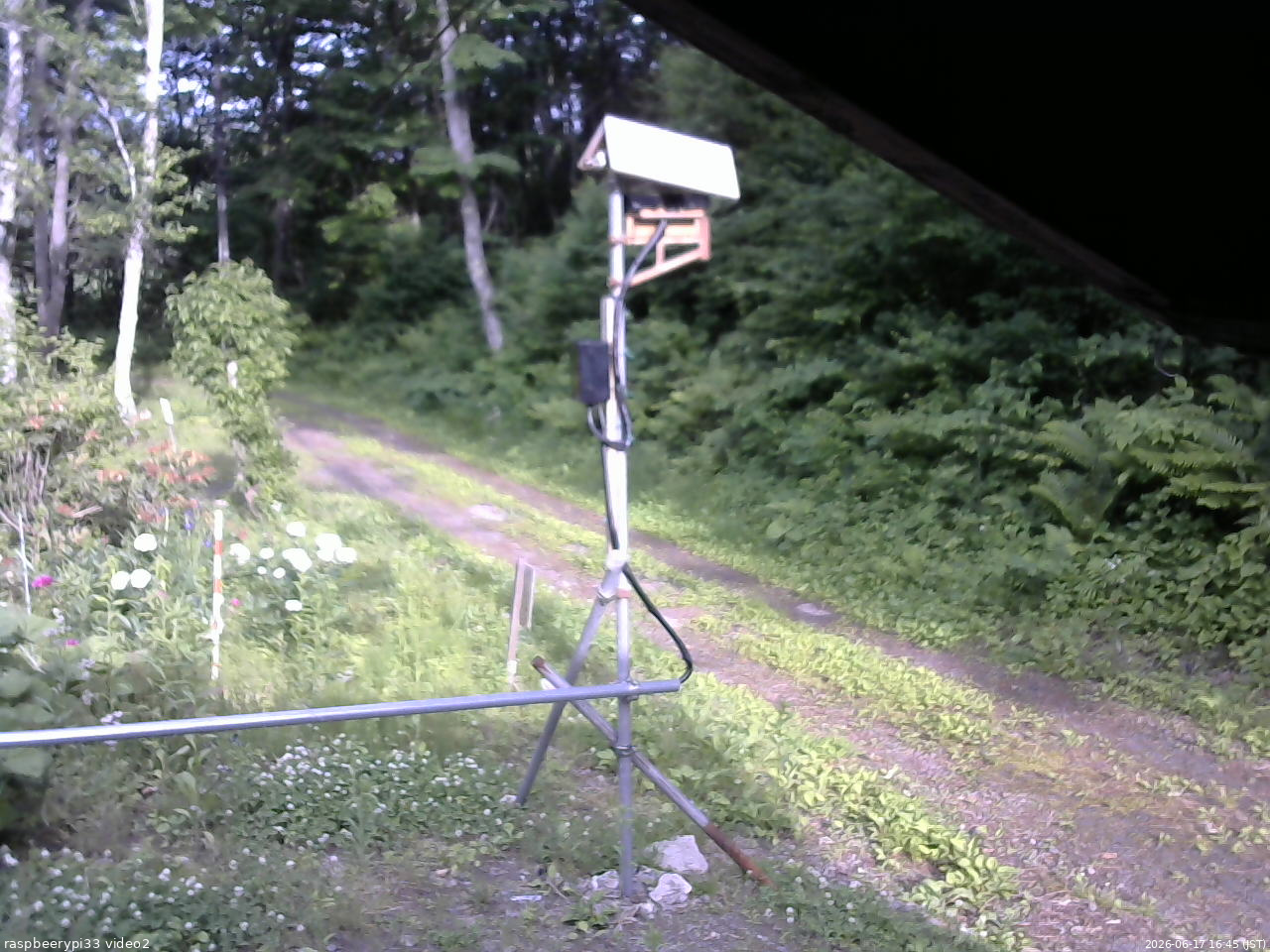 長野県菅平高原 ゆたか山荘 南側 2026/06/17 16:45