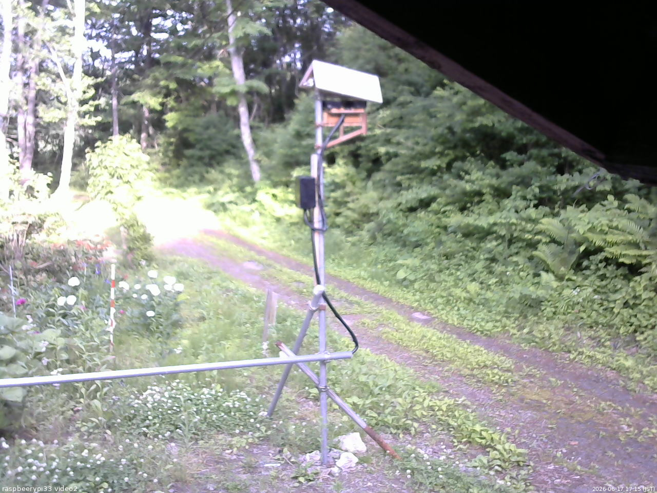 長野県菅平高原 ゆたか山荘 南側 2026/06/17 17:15