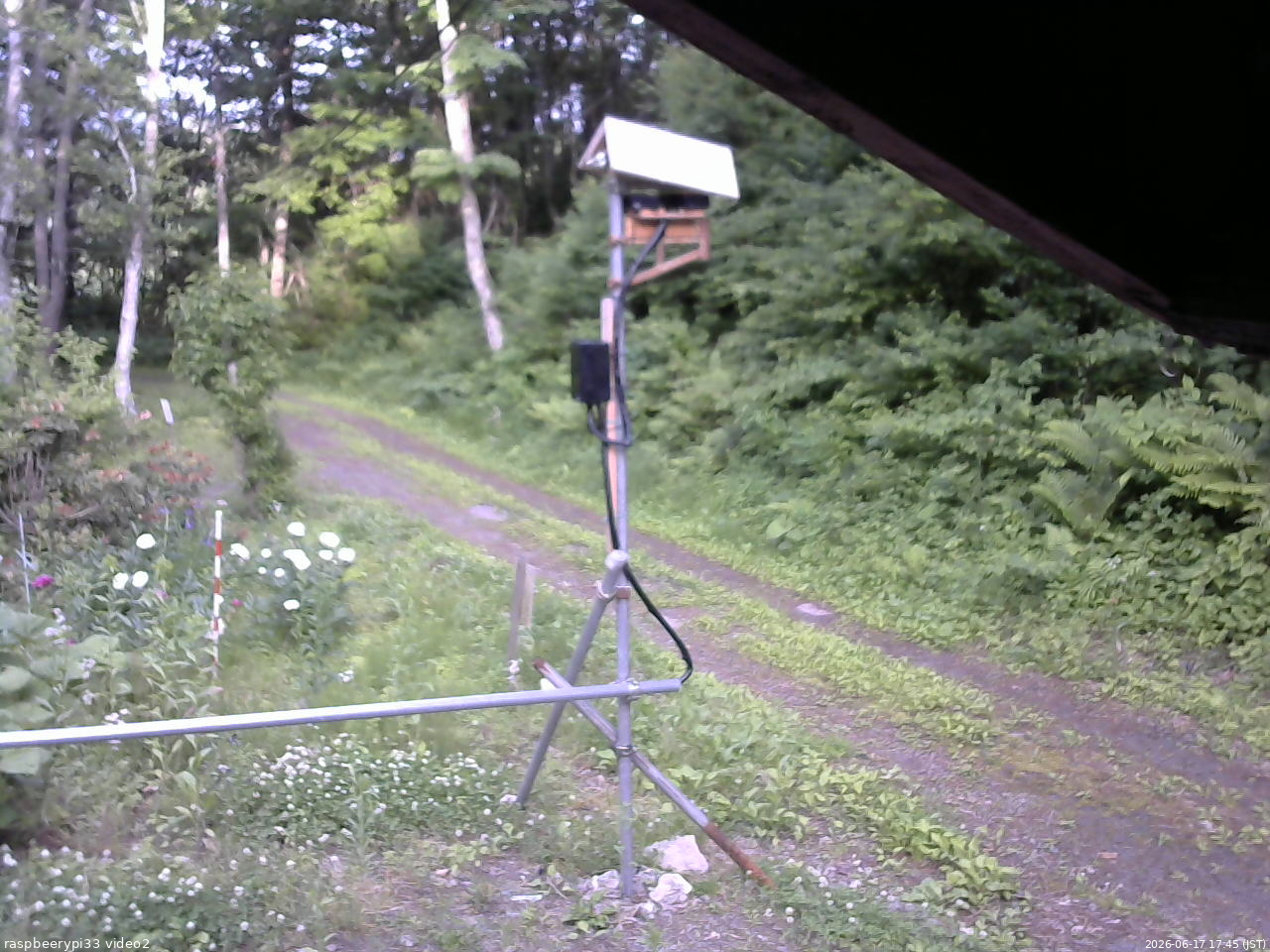 長野県菅平高原 ゆたか山荘 南側 2026/06/17 17:45