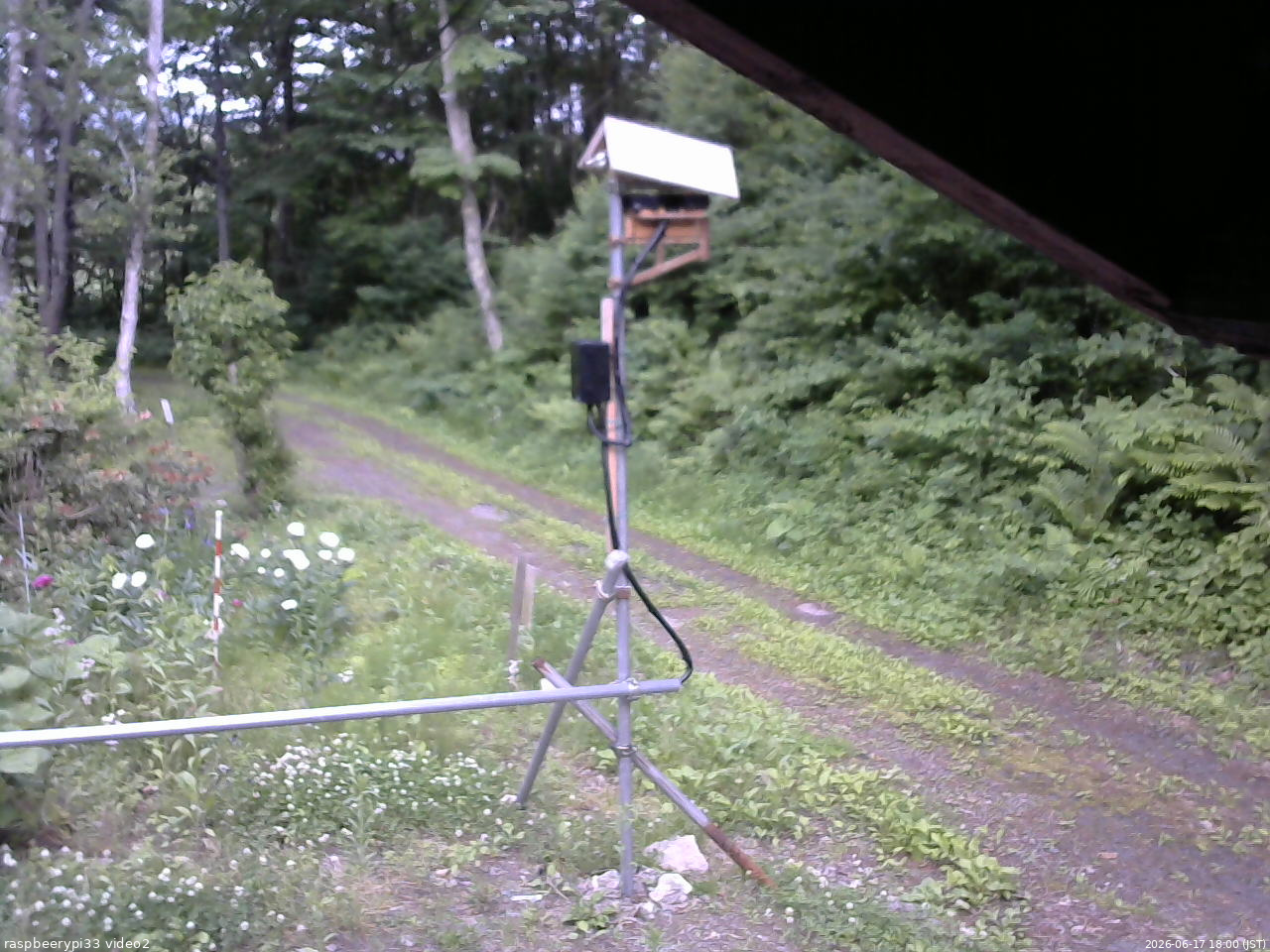 長野県菅平高原 ゆたか山荘 南側 2026/06/17 18:00