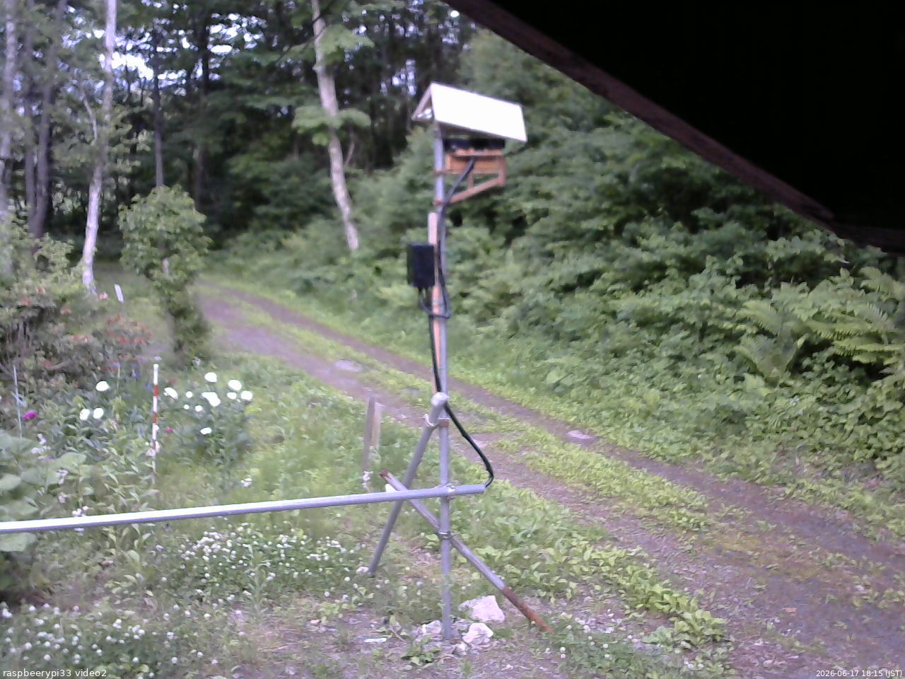 長野県菅平高原 ゆたか山荘 南側 2026/06/17 18:15