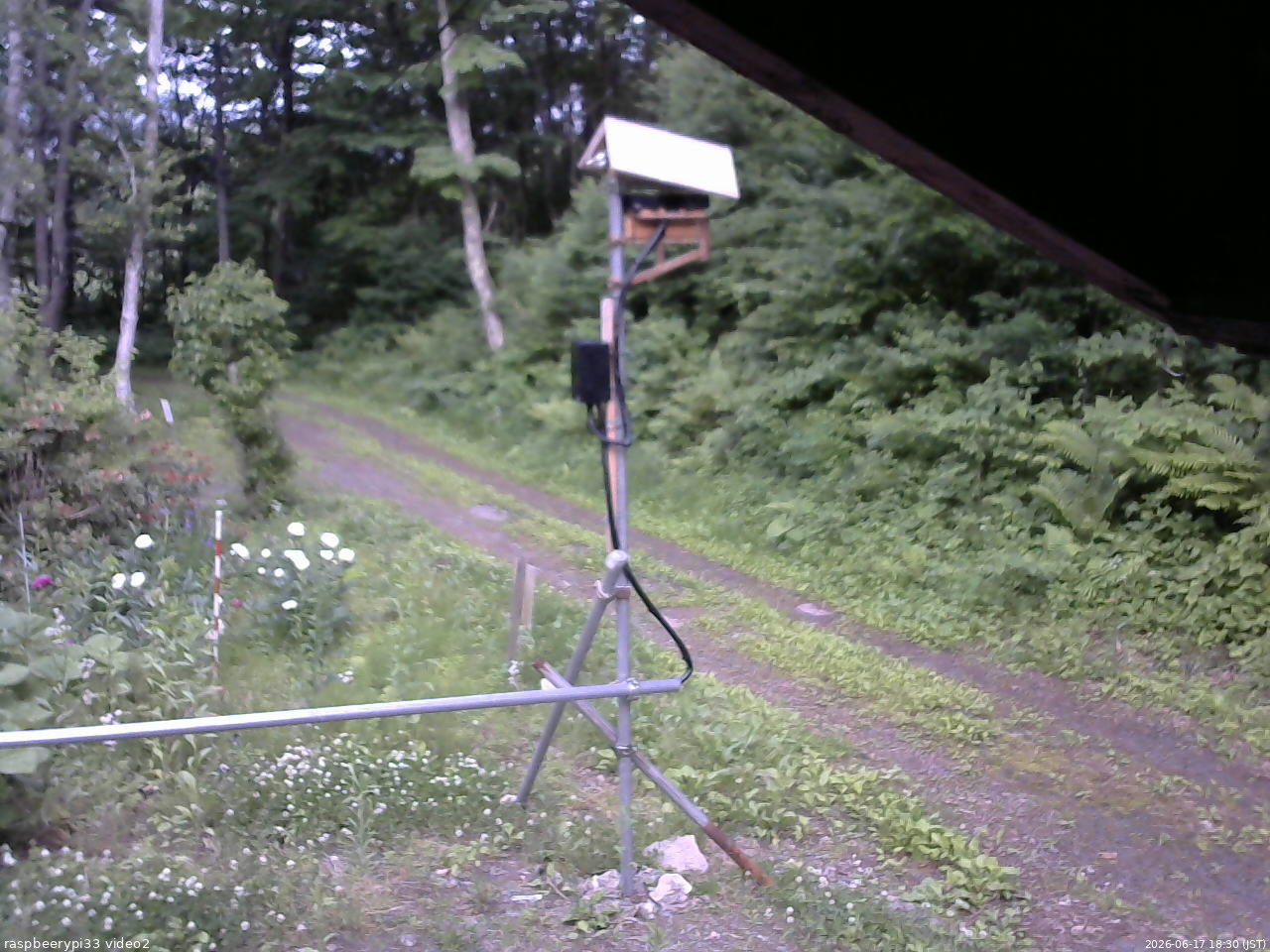 長野県菅平高原 ゆたか山荘 南側 2026/06/17 18:30