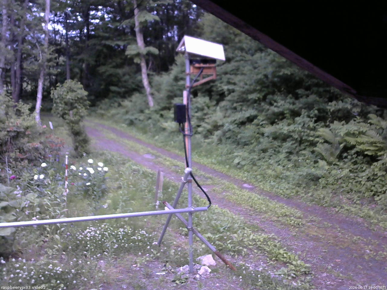 長野県菅平高原 ゆたか山荘 南側 2026/06/17 19:00