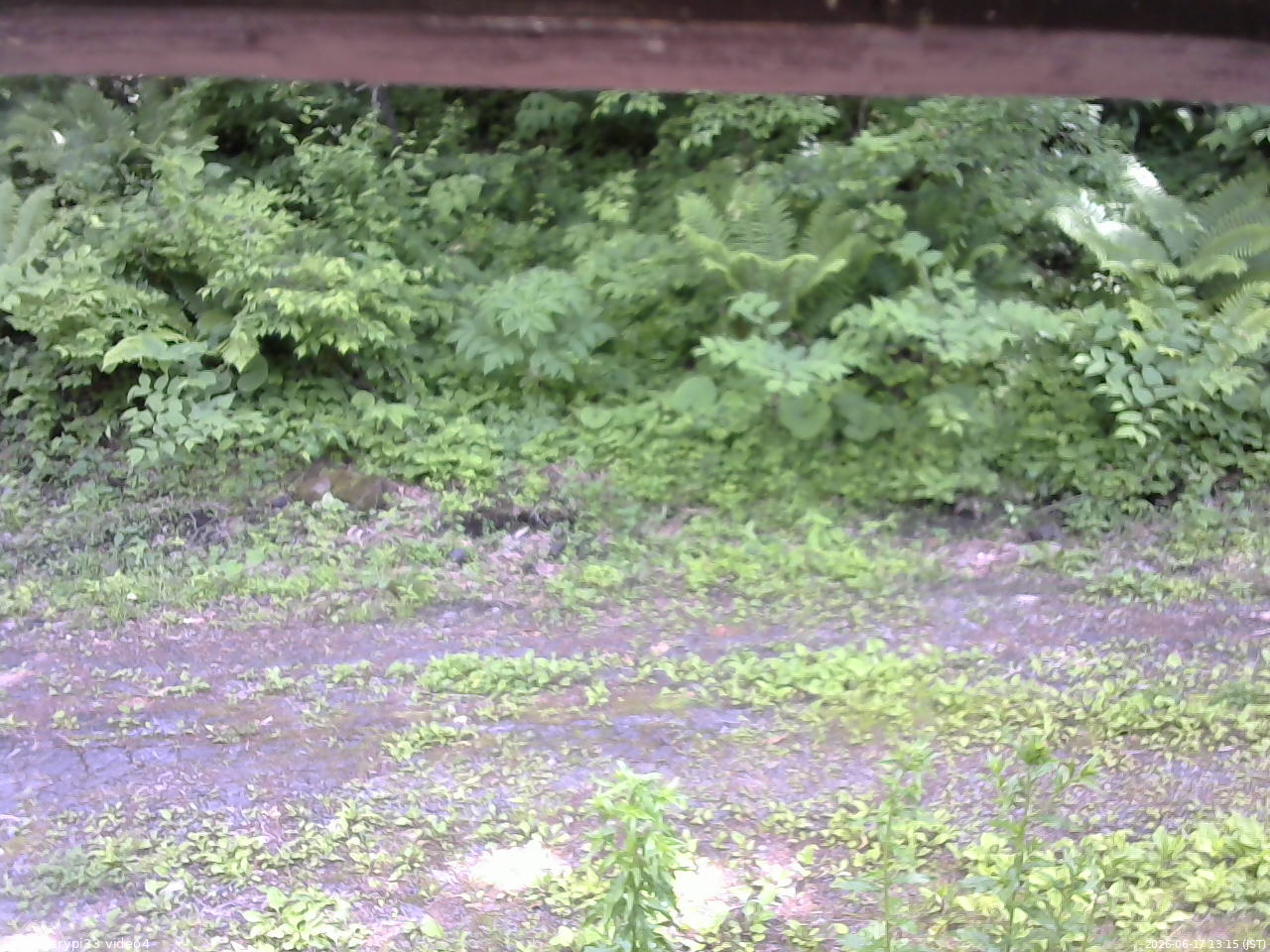 長野県菅平高原 ゆたか山荘 東側(坂下) 2026/06/17 13:15