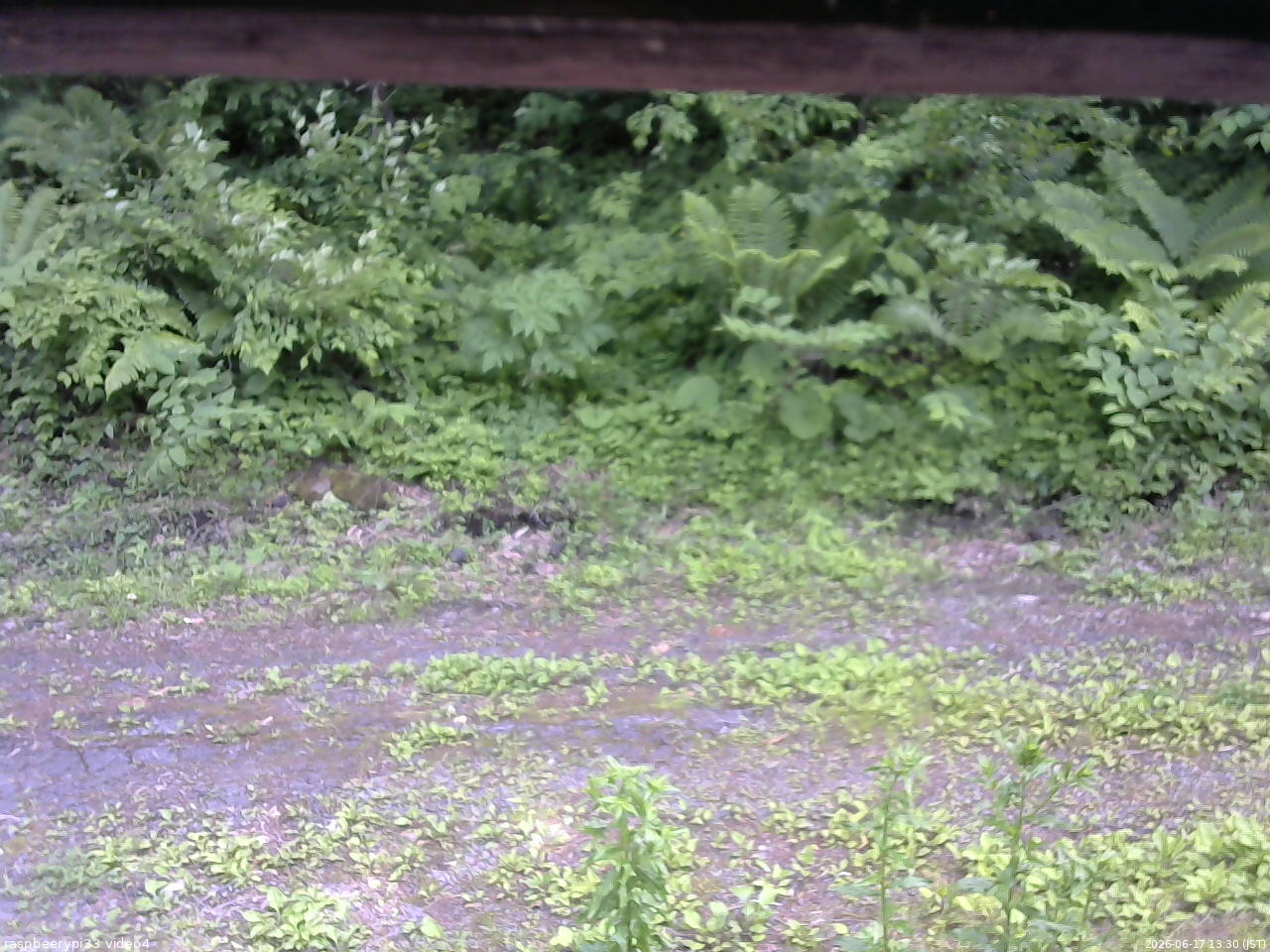 長野県菅平高原 ゆたか山荘 東側(坂下) 2026/06/17 13:30