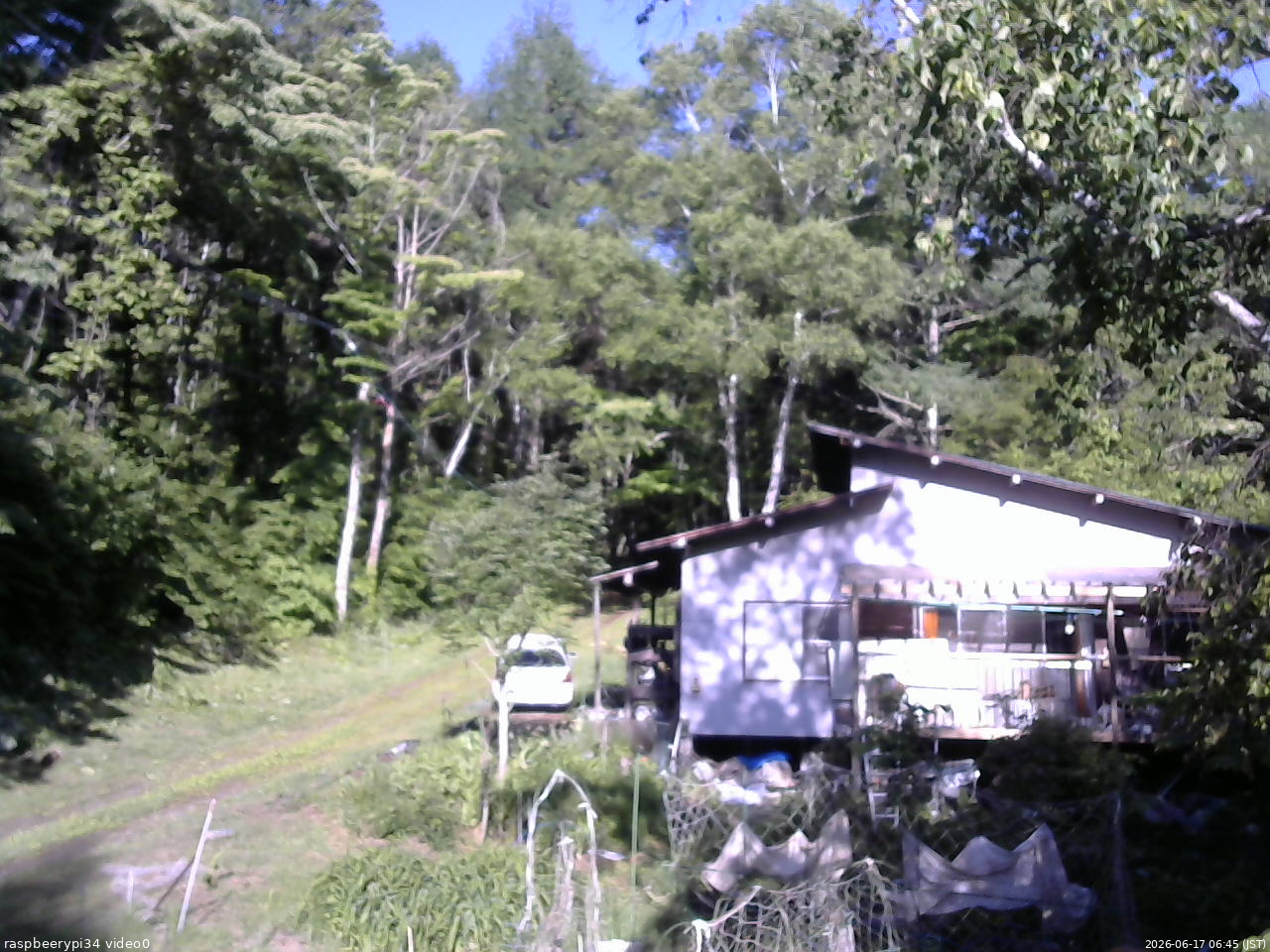 長野県菅平高原 ゆたか山荘 西側(坂上) 2026/06/17 06:45