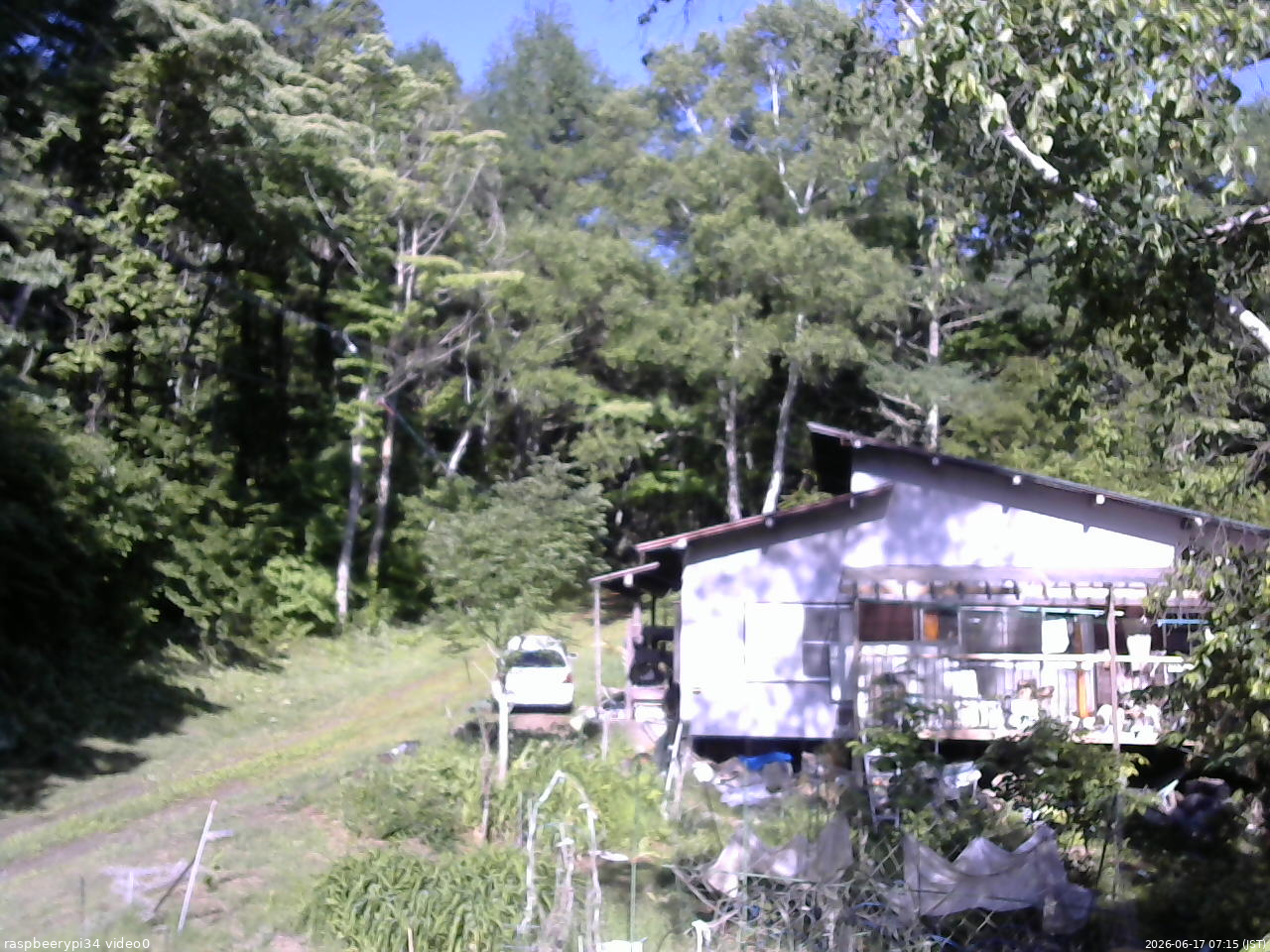 長野県菅平高原 ゆたか山荘 西側(坂上) 2026/06/17 07:15