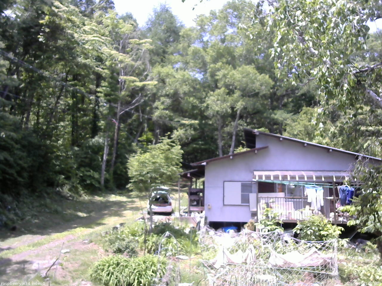 長野県菅平高原 ゆたか山荘 西側(坂上) 2026/06/17 11:00
