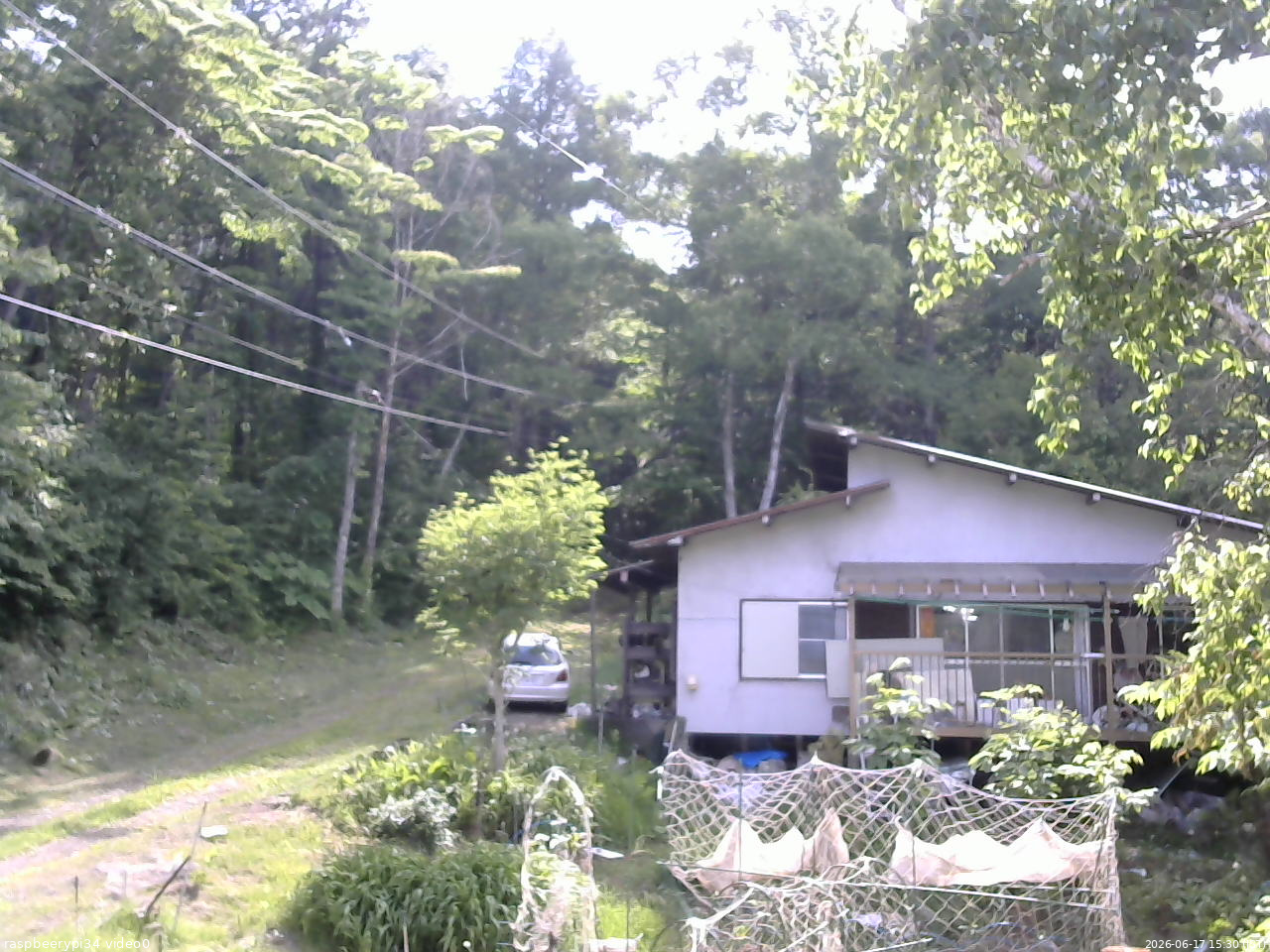 長野県菅平高原 ゆたか山荘 西側(坂上) 2026/06/17 15:30