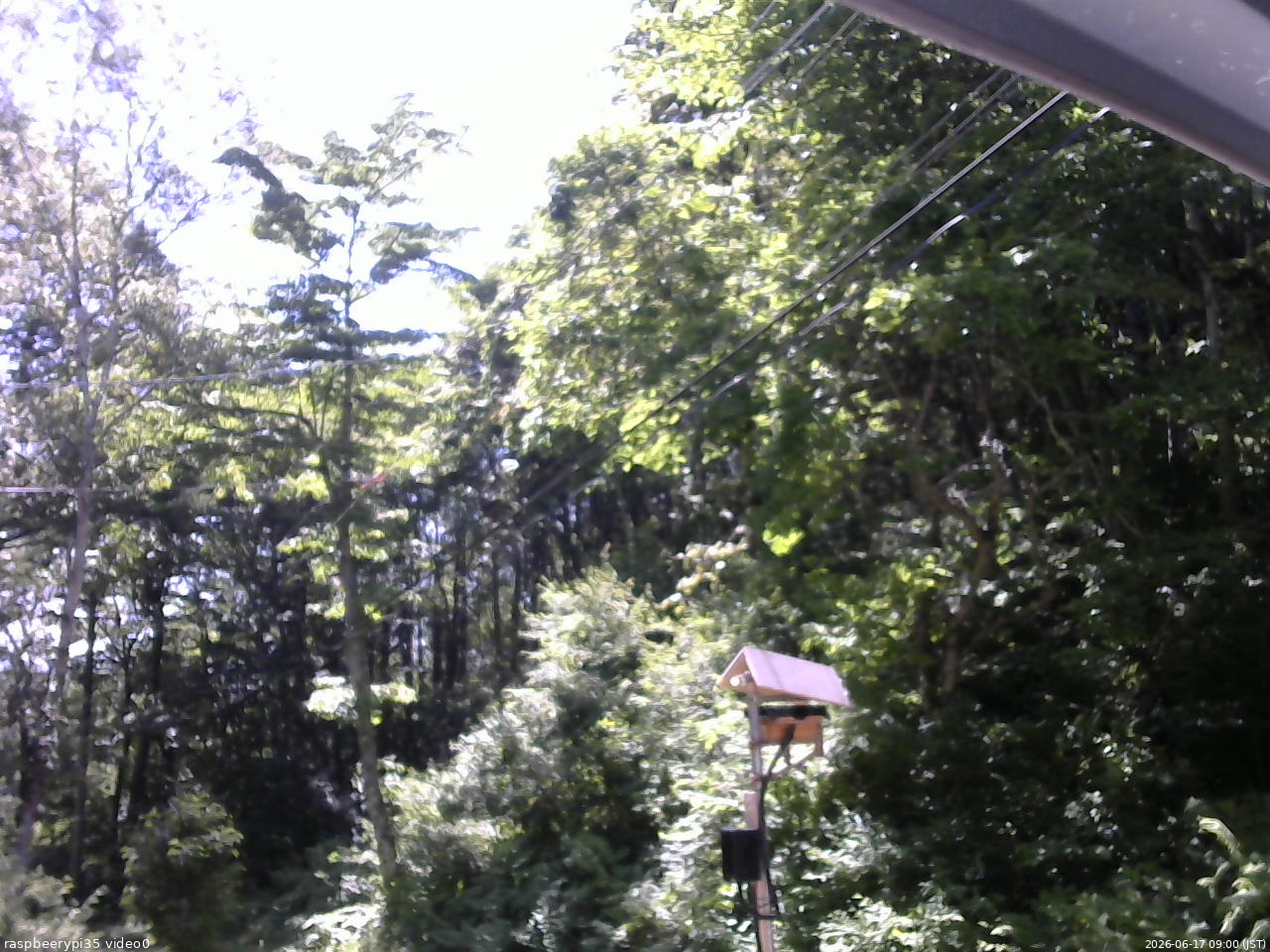 長野県菅平高原 ゆたか山荘 温度計 2026/06/17 09:00