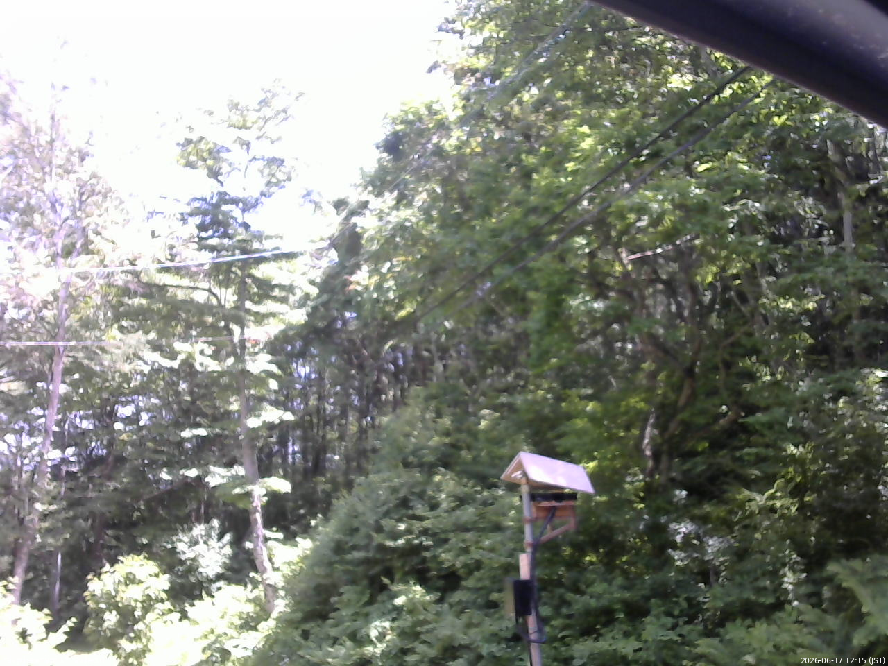 長野県菅平高原 ゆたか山荘 温度計 2026/06/17 12:15