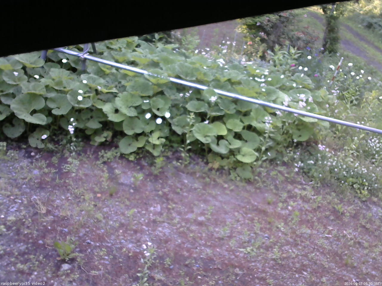 長野県菅平高原 ゆたか山荘 駐車場 2026/06/17 05:30