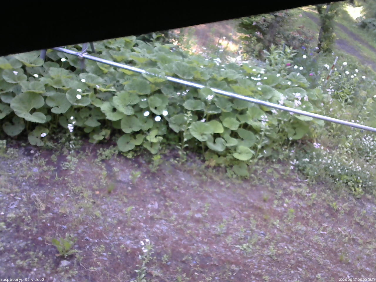長野県菅平高原 ゆたか山荘 駐車場 2026/06/17 06:00