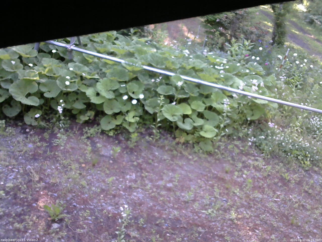 長野県菅平高原 ゆたか山荘 駐車場 2026/06/17 06:15