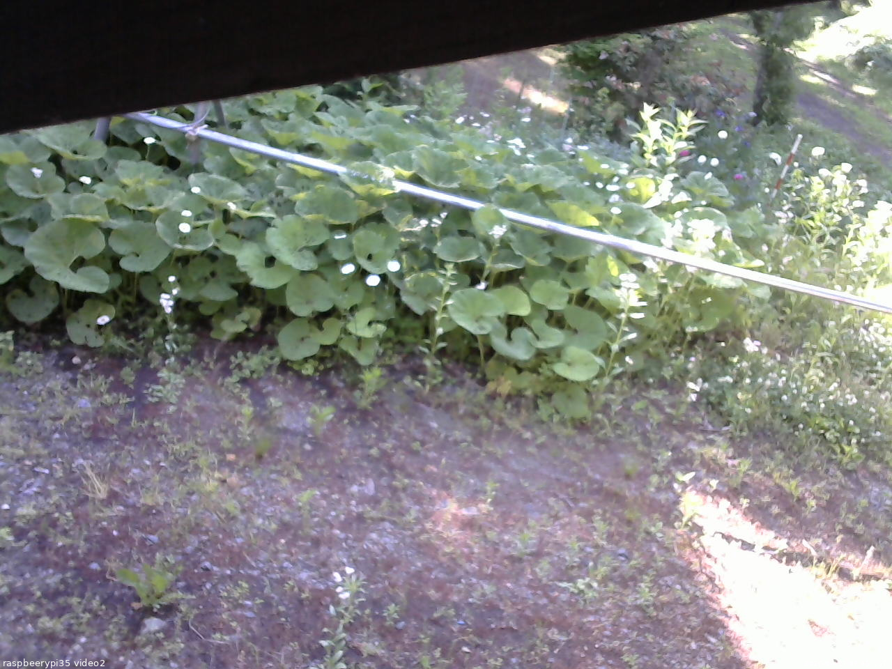 長野県菅平高原 ゆたか山荘 駐車場 2026/06/17 06:45