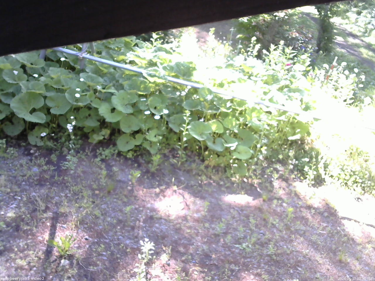 長野県菅平高原 ゆたか山荘 駐車場 2026/06/17 07:30