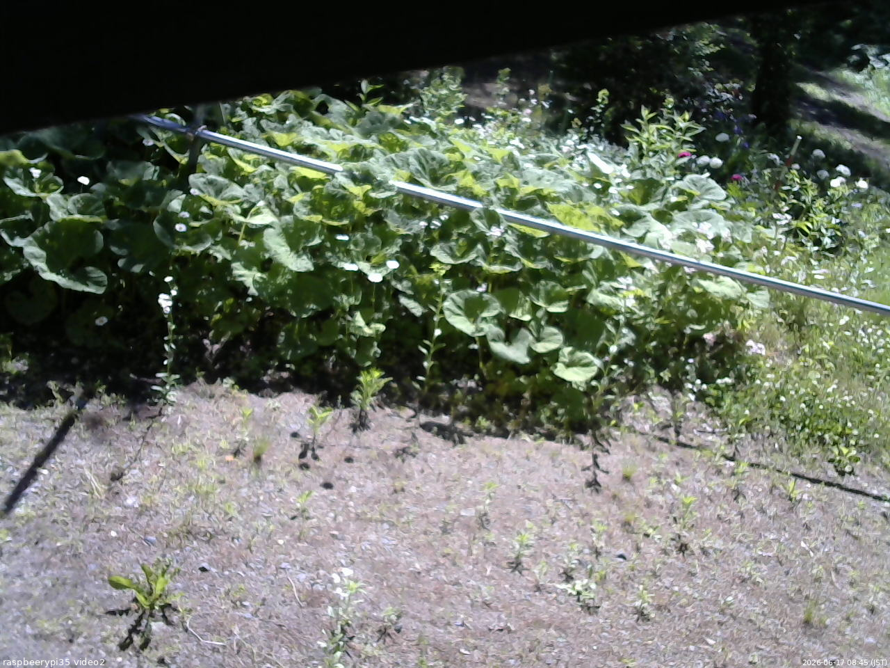 長野県菅平高原 ゆたか山荘 駐車場 2026/06/17 08:45