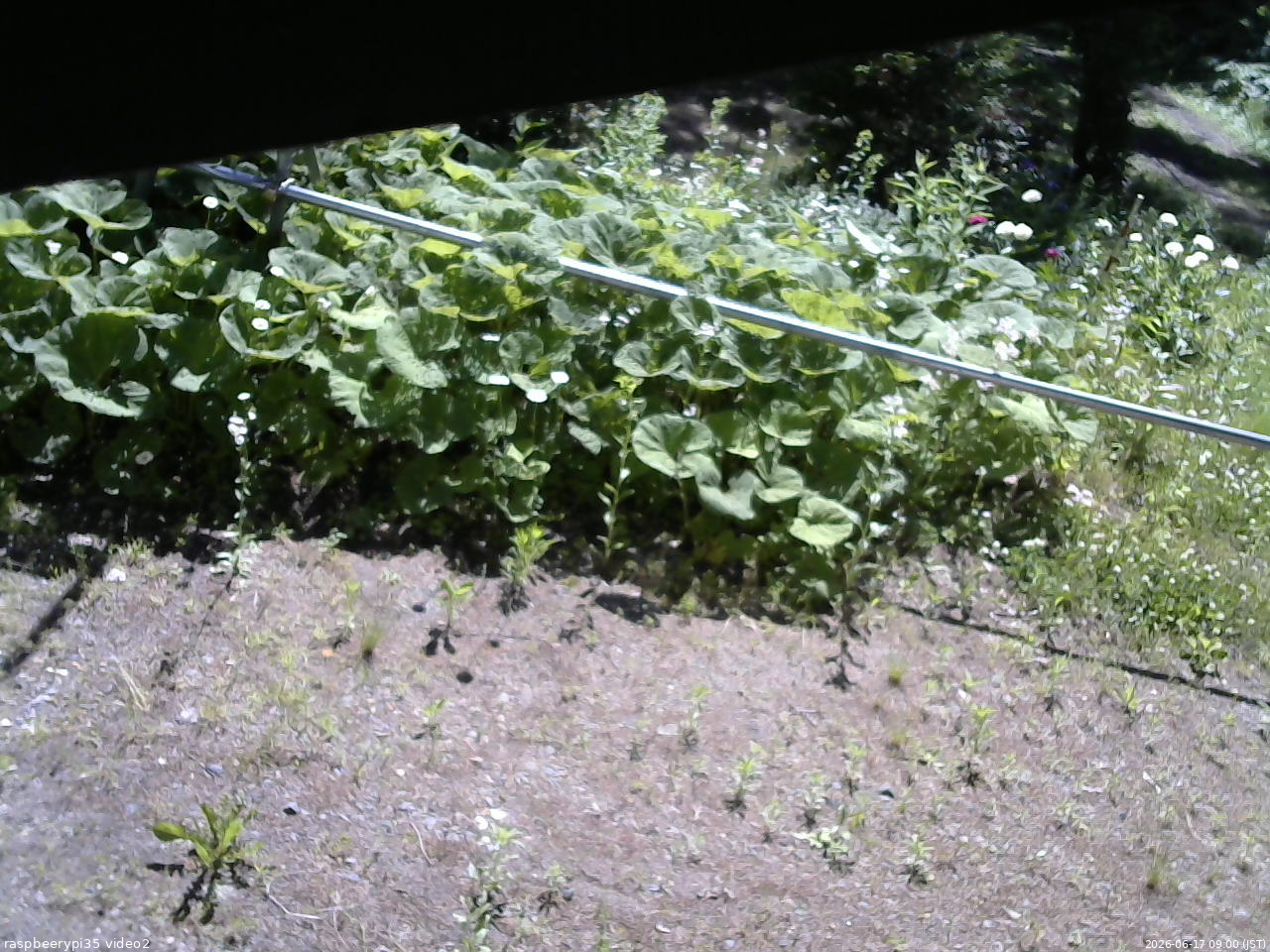 長野県菅平高原 ゆたか山荘 駐車場 2026/06/17 09:00