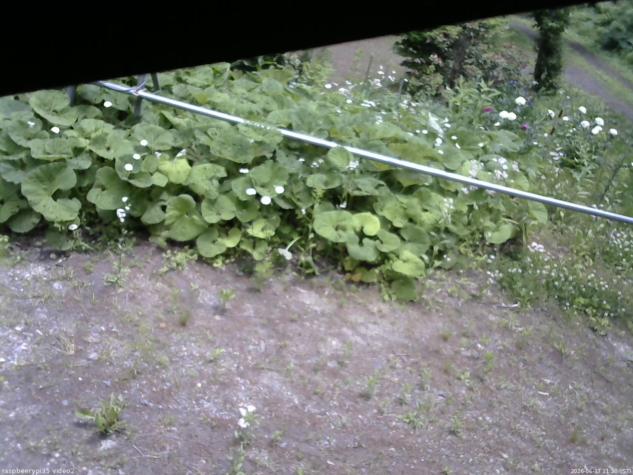 長野県菅平高原 ゆたか山荘 駐車場 2026/06/17 11:30