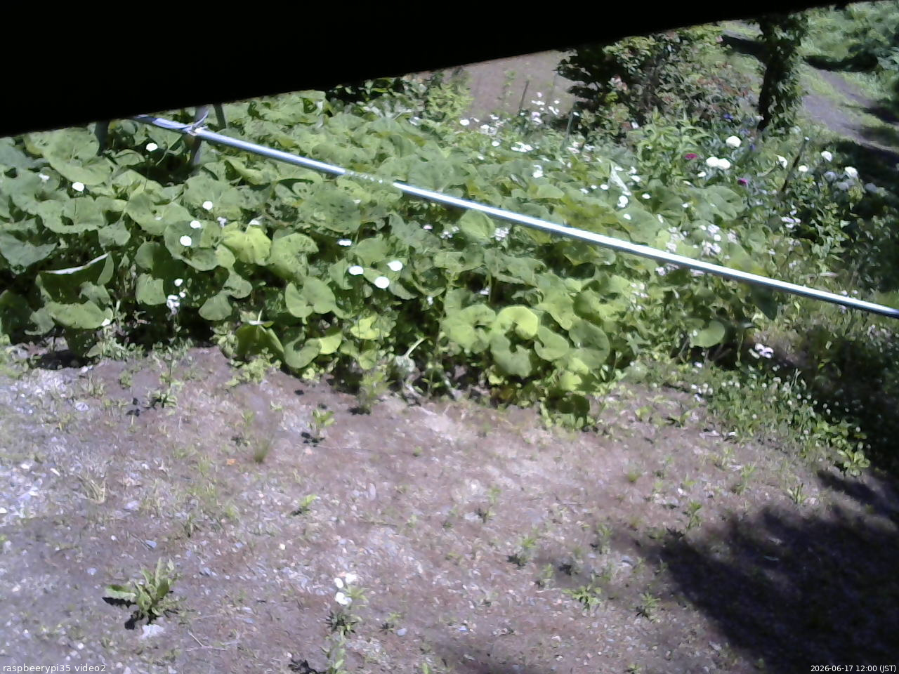 長野県菅平高原 ゆたか山荘 駐車場 2026/06/17 12:00