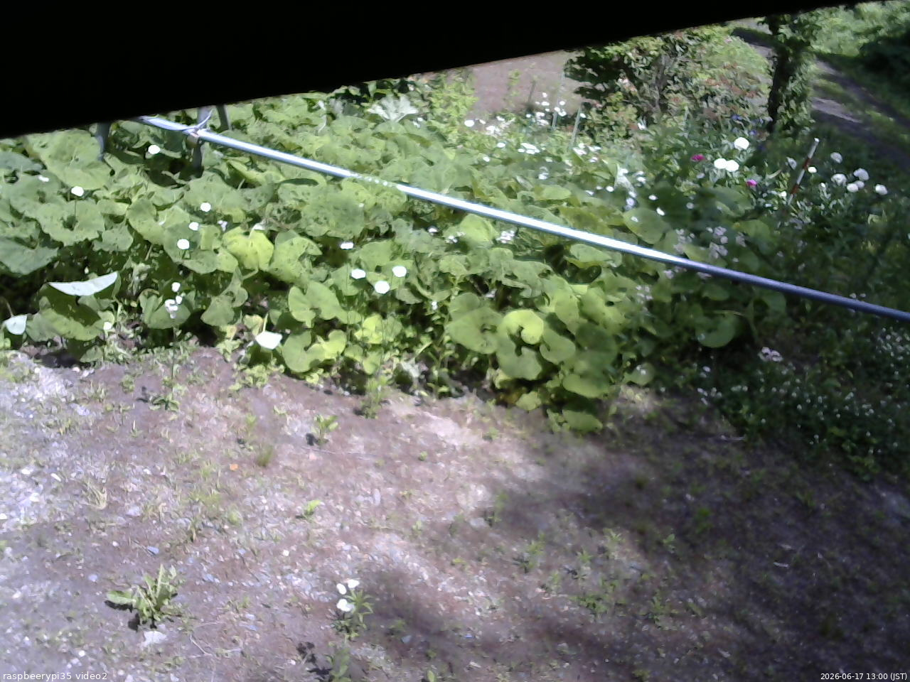 長野県菅平高原 ゆたか山荘 駐車場 2026/06/17 13:00