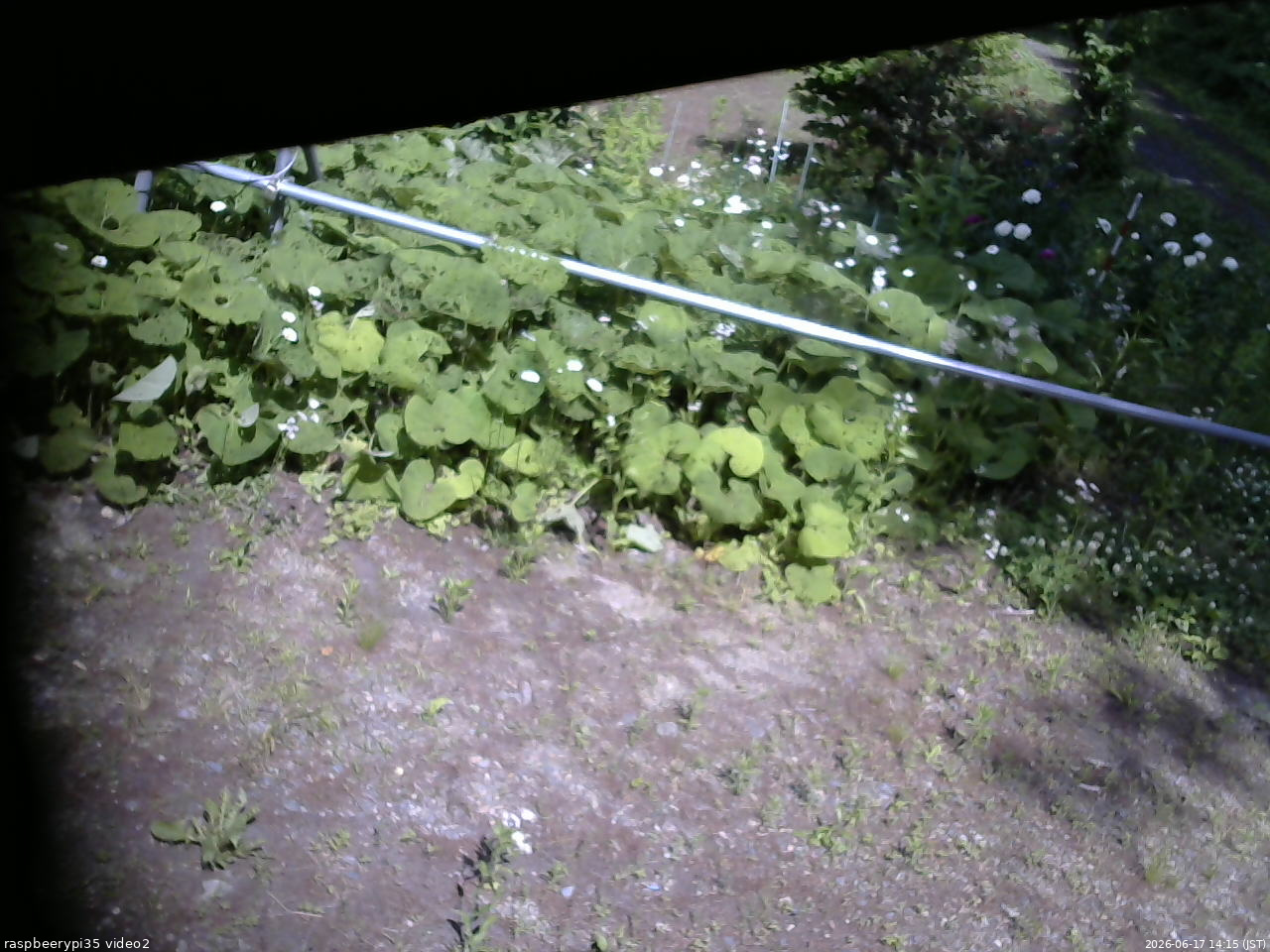 長野県菅平高原 ゆたか山荘 駐車場 2026/06/17 14:15