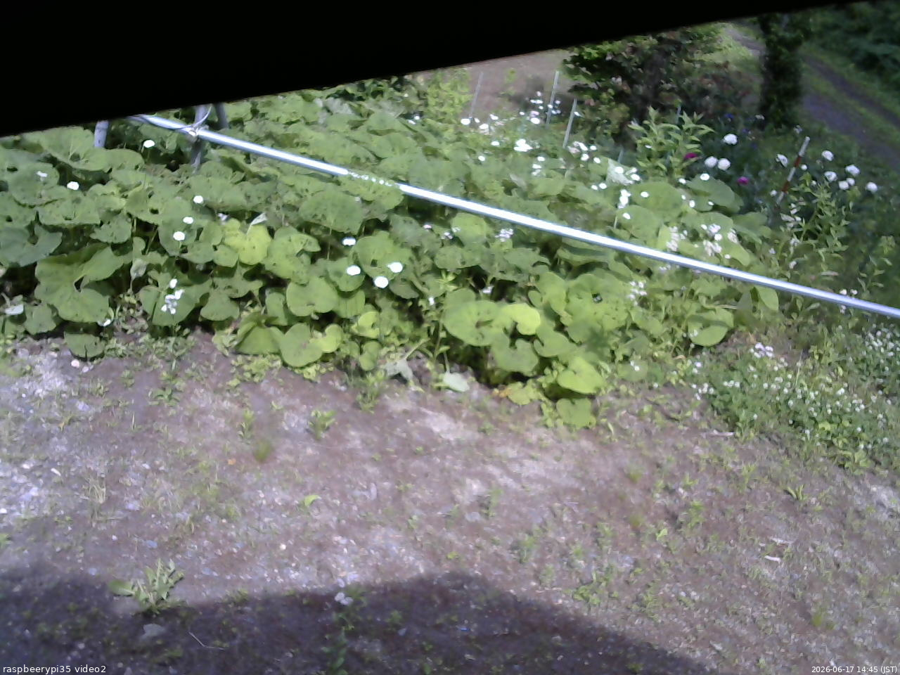 長野県菅平高原 ゆたか山荘 駐車場 2026/06/17 14:45