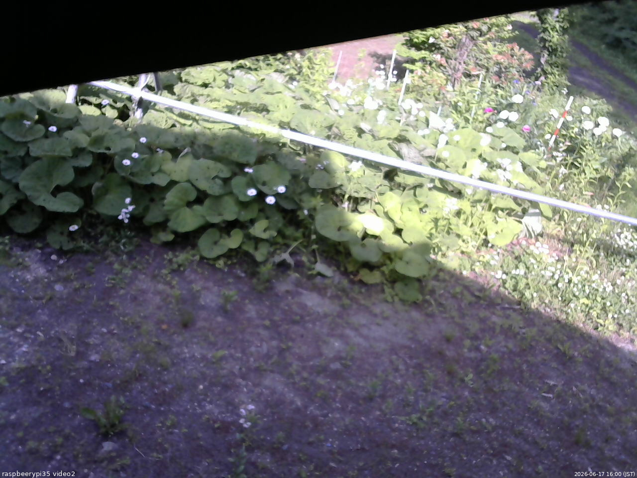 長野県菅平高原 ゆたか山荘 駐車場 2026/06/17 16:00