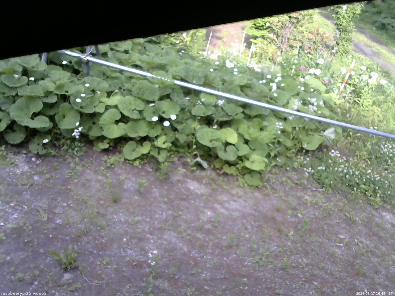 長野県菅平高原 ゆたか山荘 駐車場 2026/06/17 16:45