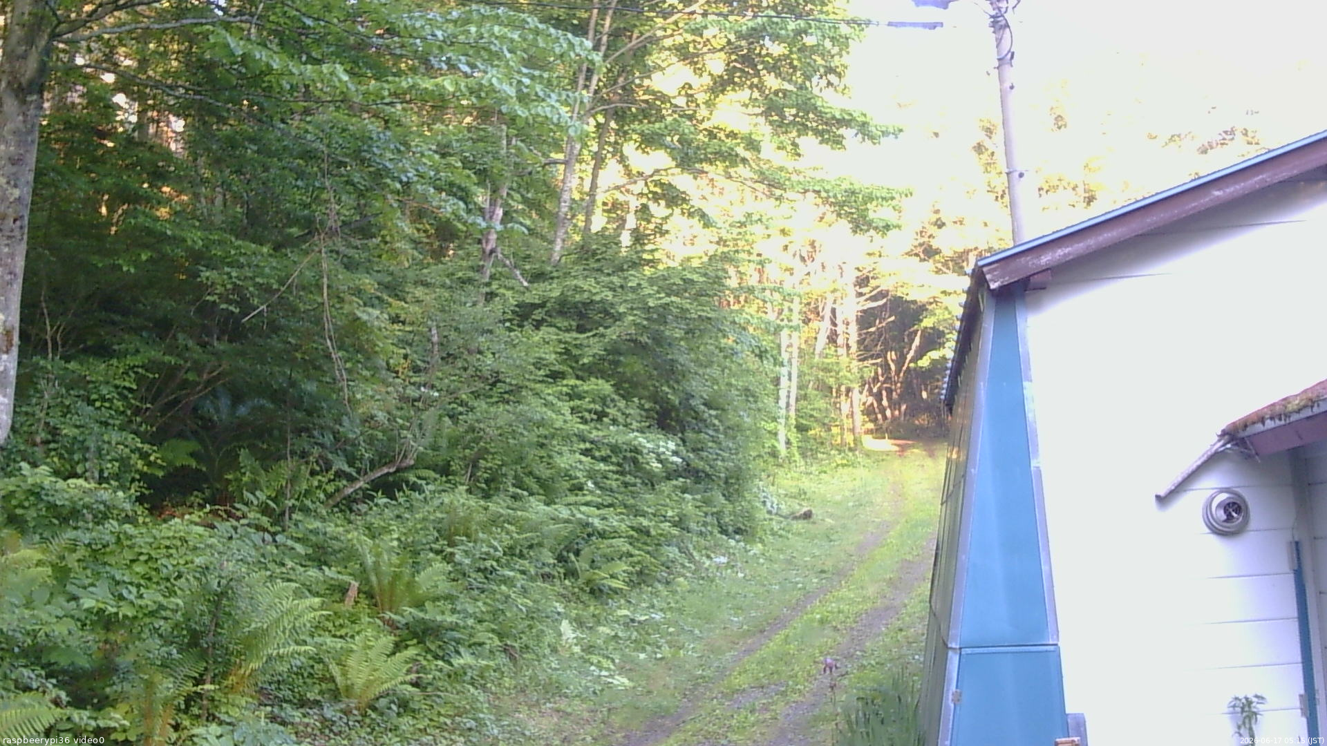 長野県菅平高原 ゆたか山荘 ゆたか山荘 2026/06/17 05:15