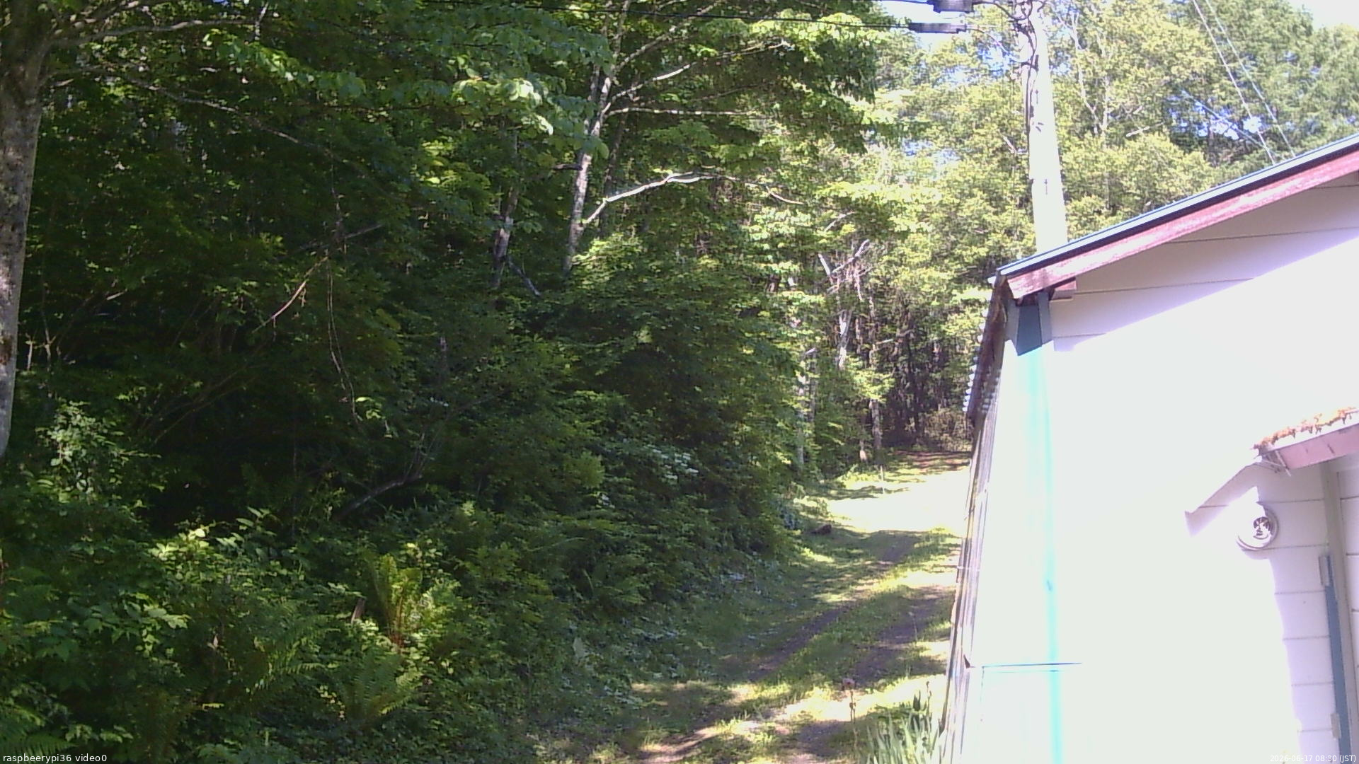 長野県菅平高原 ゆたか山荘 ゆたか山荘 2026/06/17 08:30