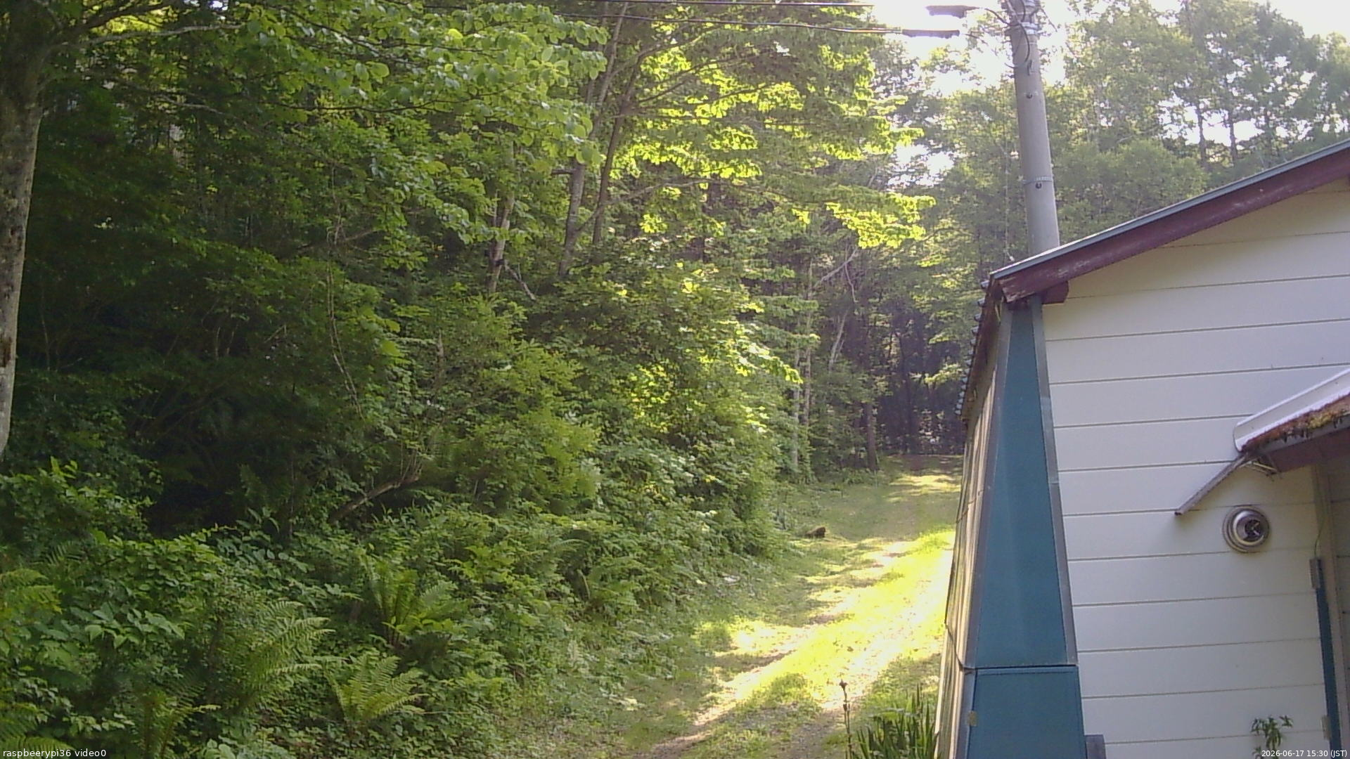 長野県菅平高原 ゆたか山荘 ゆたか山荘 2026/06/17 15:30