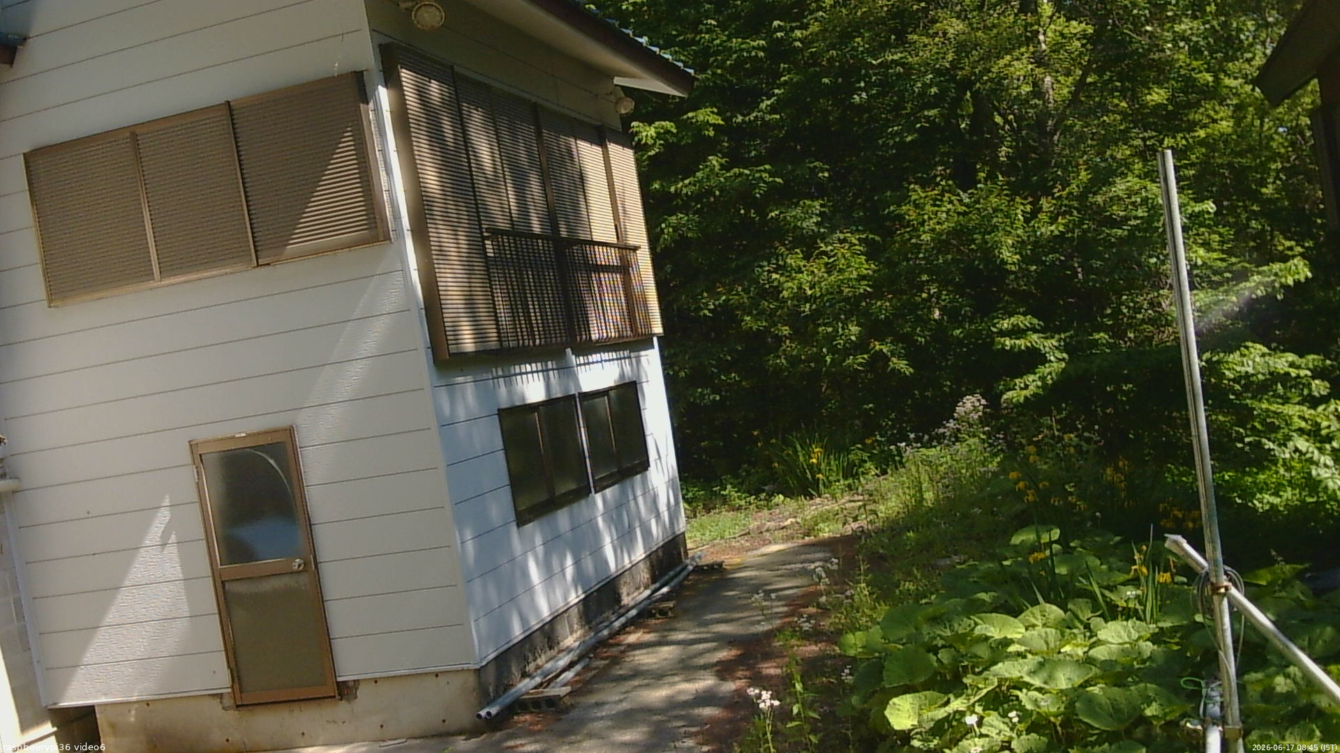 長野県菅平高原 ゆたか山荘 坂下 2026/06/17 08:45