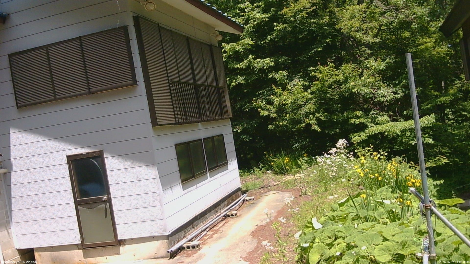 長野県菅平高原 ゆたか山荘 坂下 2026/06/17 11:00