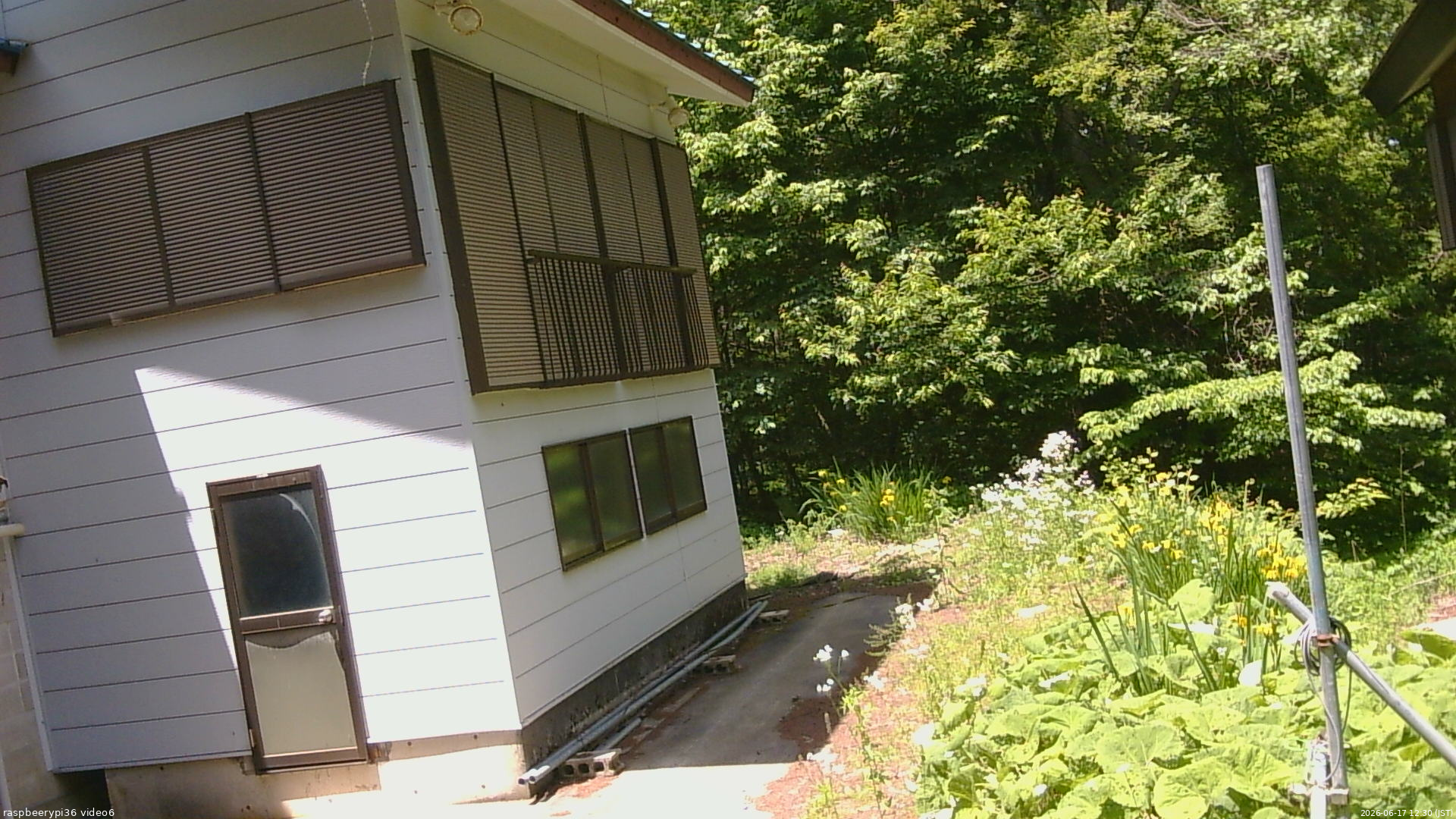 長野県菅平高原 ゆたか山荘 坂下 2026/06/17 12:30