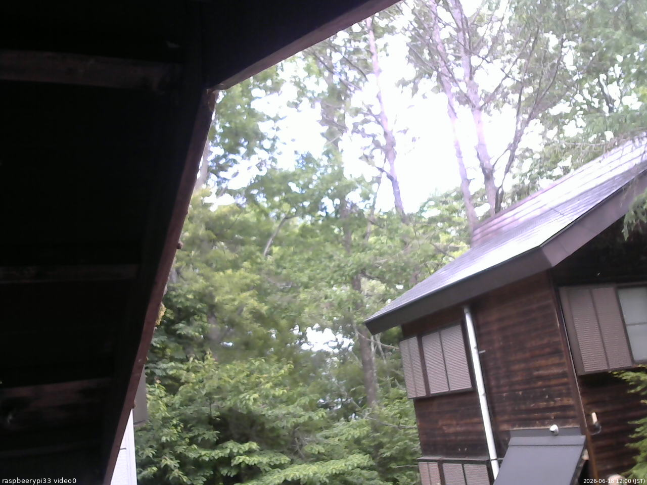 長野県菅平高原 ゆたか山荘 北側 2026/06/18 12:00