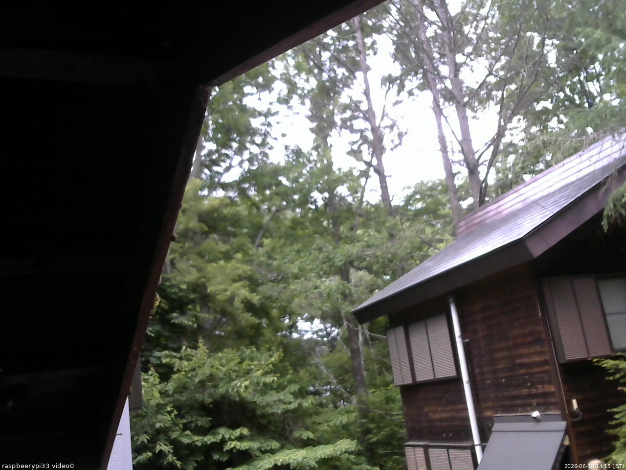 長野県菅平高原 ゆたか山荘 北側 2026/06/18 14:15