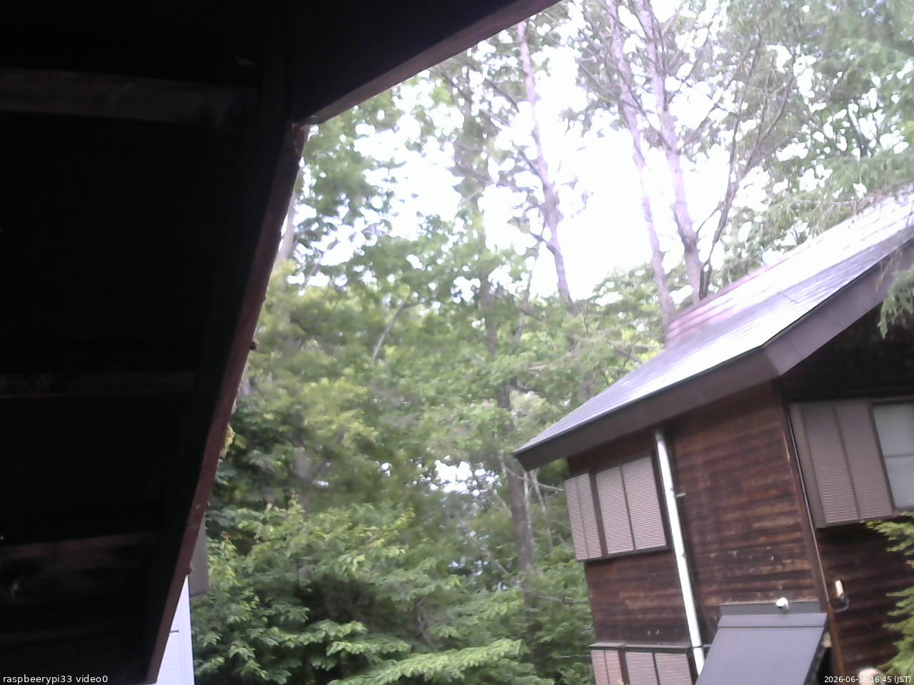 長野県菅平高原 ゆたか山荘 北側 2026/06/18 16:45