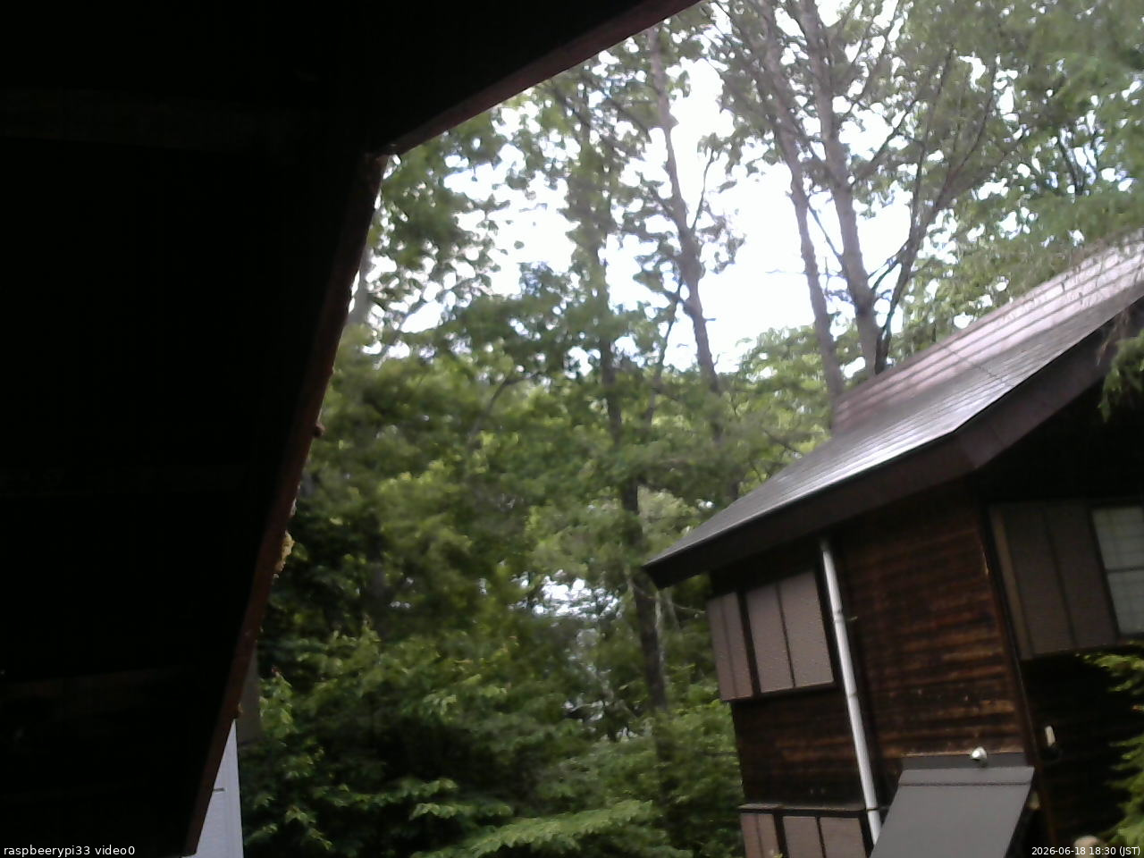 長野県菅平高原 ゆたか山荘 北側 2026/06/18 18:30