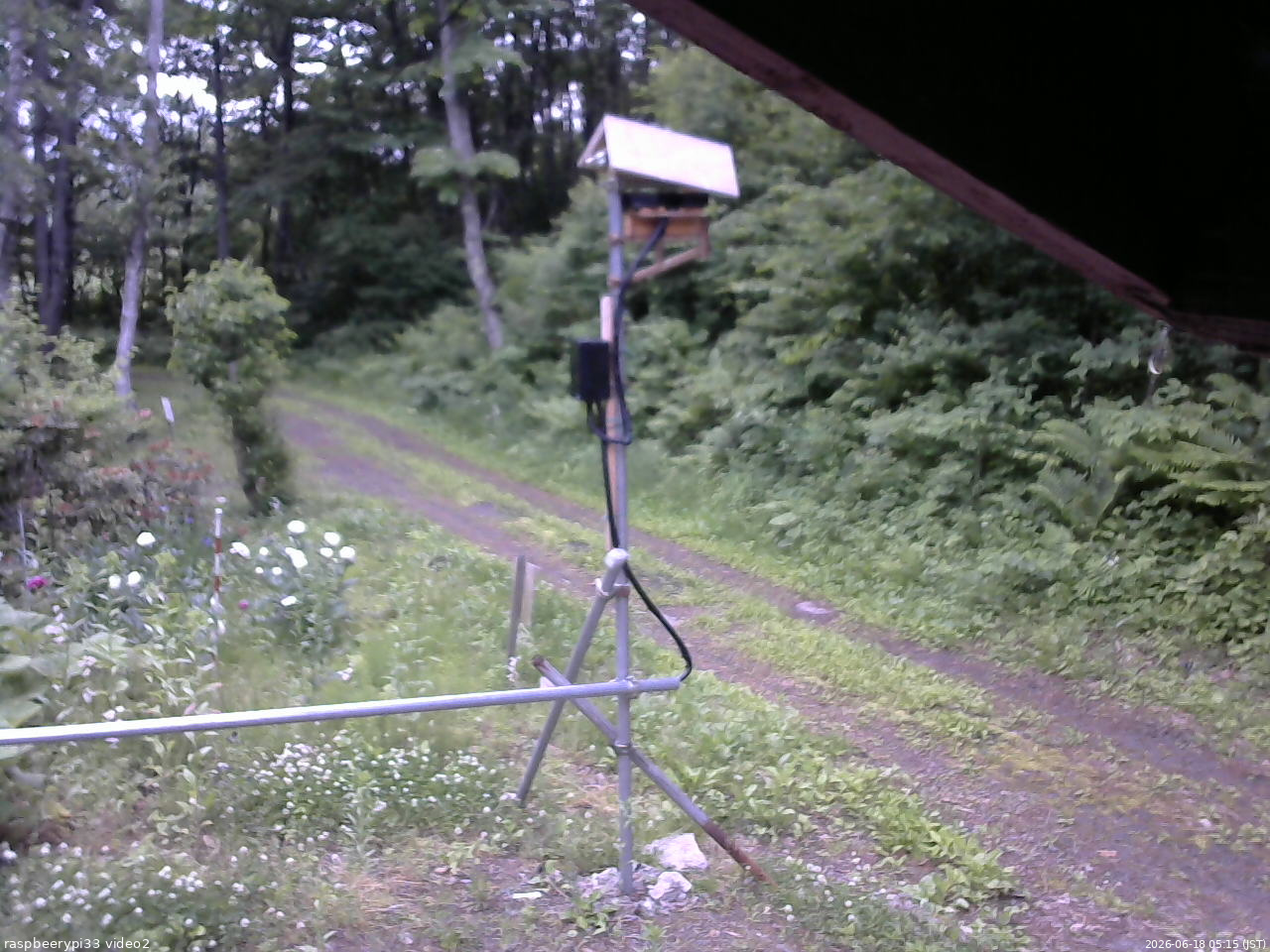 長野県菅平高原 ゆたか山荘 南側 2026/06/18 05:15
