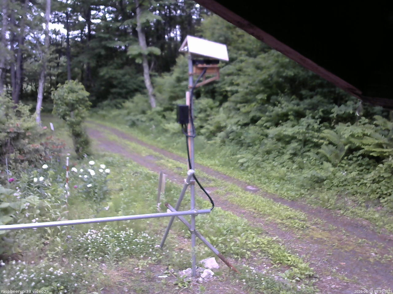 長野県菅平高原 ゆたか山荘 南側 2026/06/18 05:30