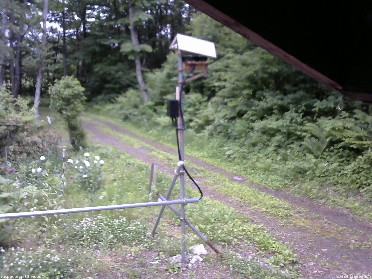 長野県菅平高原 ゆたか山荘 南側 2026/06/18 06:00