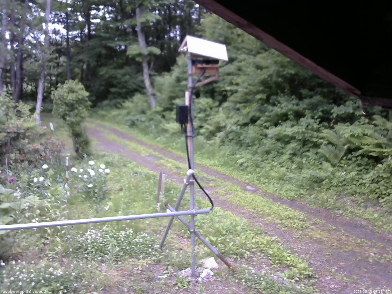 長野県菅平高原 ゆたか山荘 南側 2026/06/18 06:15