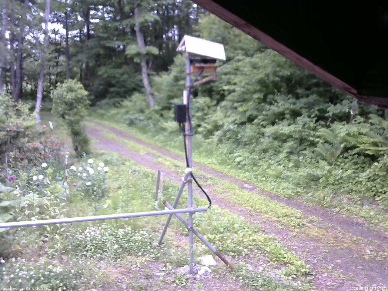 長野県菅平高原 ゆたか山荘 南側 2026/06/18 06:30
