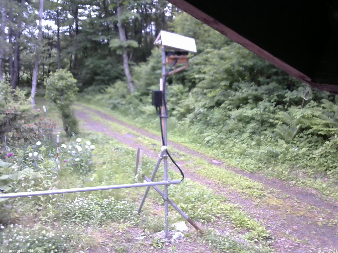 長野県菅平高原 ゆたか山荘 南側 2026/06/18 06:45