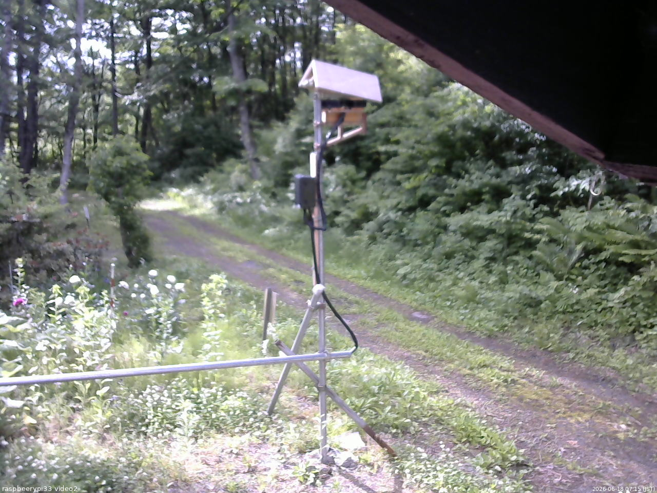 長野県菅平高原 ゆたか山荘 南側 2026/06/18 07:15