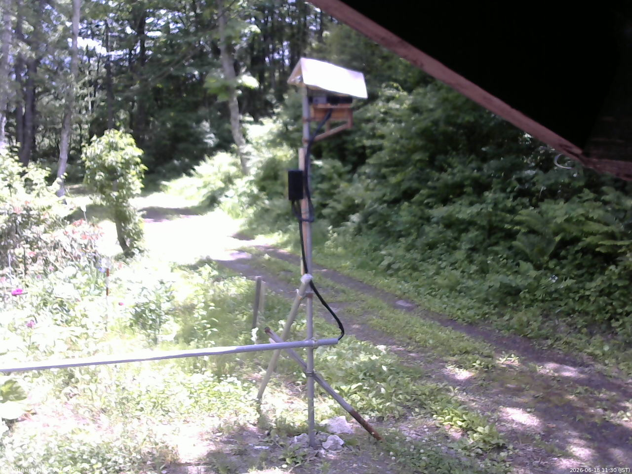 長野県菅平高原 ゆたか山荘 南側 2026/06/18 11:30