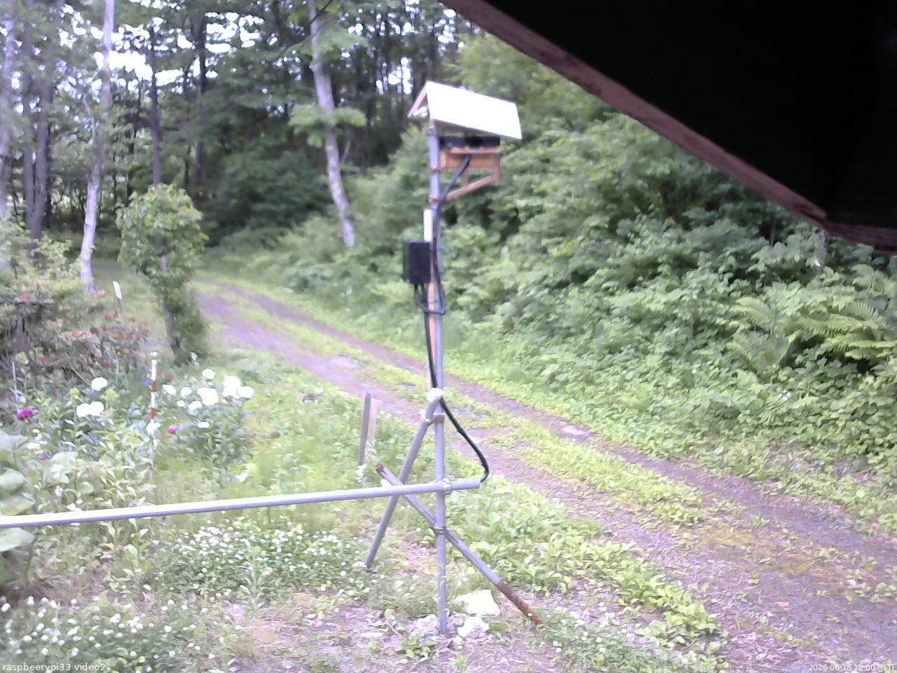 長野県菅平高原 ゆたか山荘 南側 2026/06/18 12:00
