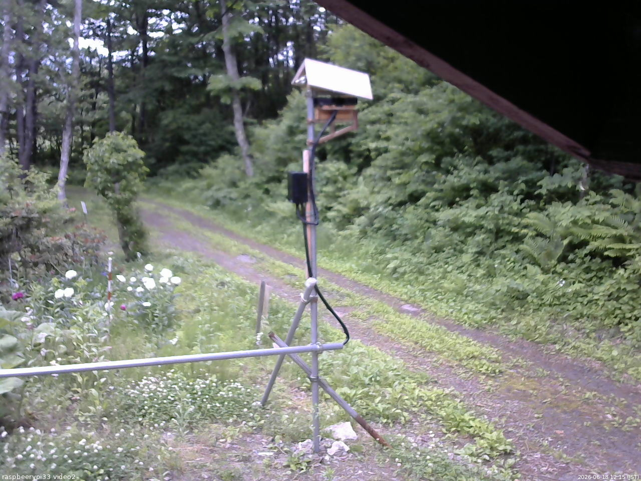 長野県菅平高原 ゆたか山荘 南側 2026/06/18 12:15